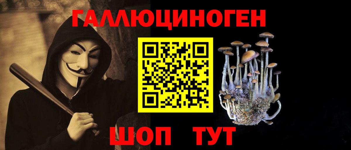 Галлюциногенные грибы прущие грибы Псков